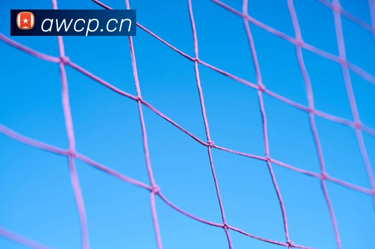 c7官网入口发展历程